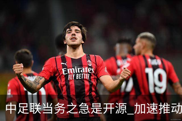 中足联当务之急是开源 加速推动中国足球职业化